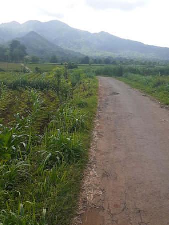 Rural road in the countrysideの写真素材