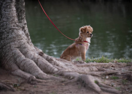 Best friendの写真素材