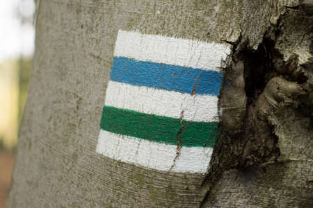 Double trail marking on tree. Blue and green trails. Polandの写真素材