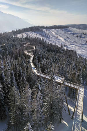 Mountain winter landscape, wooden walkway between trees. ChodnÃ­k korunami stromov, Bachledka,...