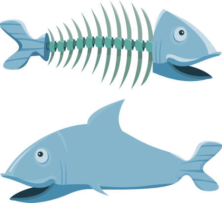 Fish with his fishbone, on white backgroundのイラスト素材