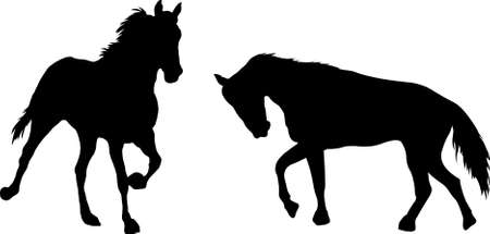 Two horses in two different positions のイラスト素材