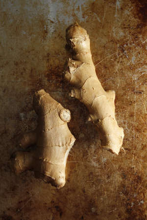 ginger on old vintage metal deskの写真素材