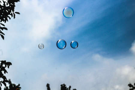 Soap bubbles against the background of the blue sky and trees