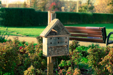 Wooden house in the parkの写真素材