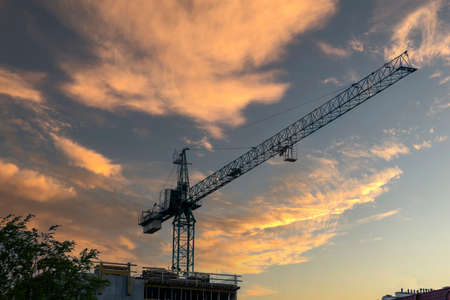 Construction crane on the sunset backgroundの写真素材