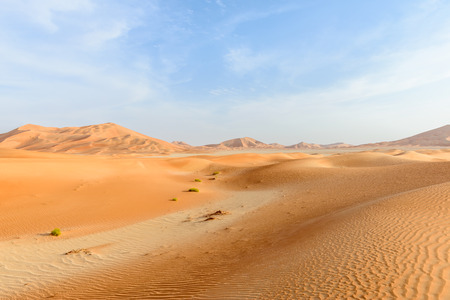 Sand dunes in Rub al-Khali desert, Dhofar region  Oman の写真素材