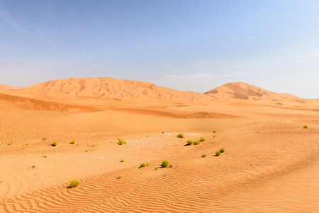 Sand dunes in Rub al-Khali desert, Dhofar region  Oman の写真素材