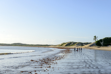 People waiting on the beach at dawn with low tide, Pititinga, Rio Grande do Norte  Brazil の写真素材