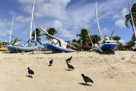Beach with boats at dawn with low tide, Pititinga, Rio Grande do Norte  Brazil の写真素材