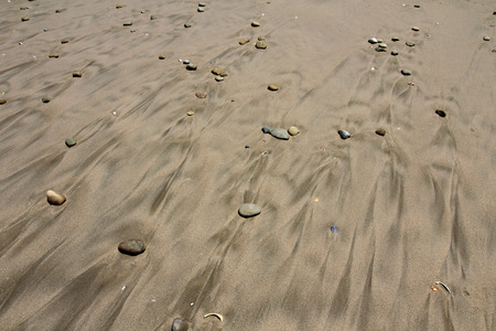 Ocean Beach Detailの写真素材