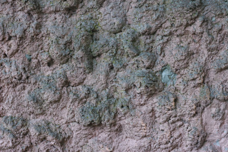 Texture of old textured limestone plaster. Creative design background