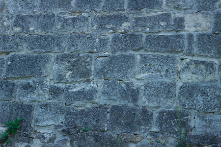 Texture of part of an old stone wall of a medieval fortress made of limestone blocksの写真素材