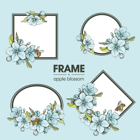 Frame with apple flowers. Detailed hand-drawn sketches, vector botanical illustration. For cosmetics, medicine, aromatherapy. For menu, label, packaging design.のイラスト素材