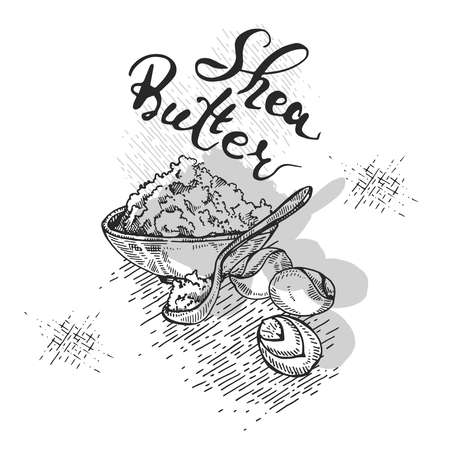 Composition with branch Shea tree with fruits, nuts, leaves and Shea butter and wooden plate with shea butter, spoon filled with shea butter, cream in jar, cream in tube. Detailed hand-drawn sketches and lettering, vector botanical illustration. For cosmetics, medicine, aromatherapy. For menu, label, packaging design.のイラスト素材