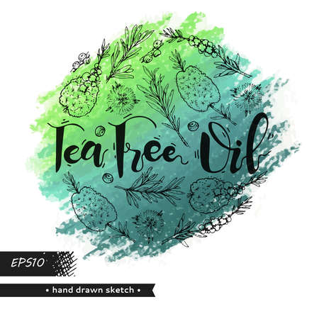 Circle filled branches with leaves and flowers of tea tree. Detailed hand-drawn sketches, vector botanical illustration. For menu, label, packaging design.のイラスト素材
