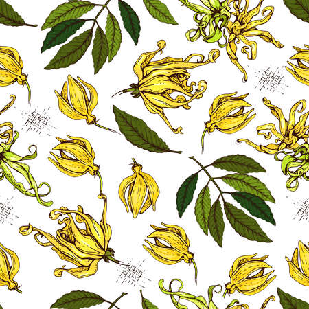 Seamless Pattern with flowers and leaves of ylang-ylang. Detailed hand-drawn sketches, vector botanical illustration. For textile, background, packaging design.のイラスト素材