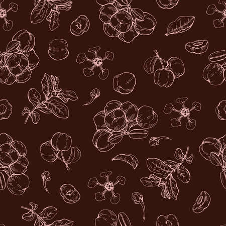 Seamless Pattern with branch acerola cherry, fruit, flower. Detailed hand-drawn sketches, vector botanical illustration. For textile, background, packaging design.のイラスト素材