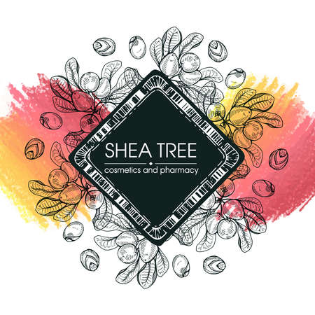 Frame with branch Shea tree with fruits, nuts, leaves and Shea butter. Detailed hand-drawn sketches, vector botanical illustration. For cosmetics, medicine, aromatherapy. For menu, label, packaging design.のイラスト素材
