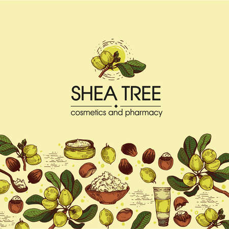 Background with branch Shea tree with fruits, nuts, leaves and Shea butter and wooden plate with shea butter, spoon filled with shea butter, cream in jar, cream in tube. Detailed hand-drawn sketches, vector botanical illustration. For cosmetics, medicine, aromatherapy. For menu, label, packaging design.のイラスト素材