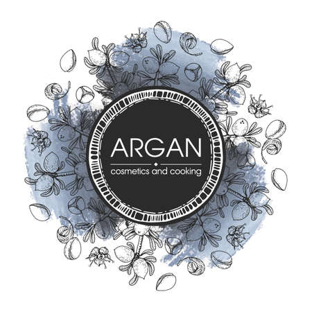 Frame with branch argan tree with fruits, nuts argans, leaves, flower argans Detailed hand-drawn sketches, vector botanical illustration. For menu, label, packaging design.のイラスト素材