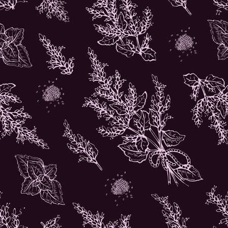 Seamless Pattern with Patchoulis inflorescences and flowers and branch with leaves. Detailed hand-drawn sketches, vector botanical illustration. For textile, background, packaging design.のイラスト素材