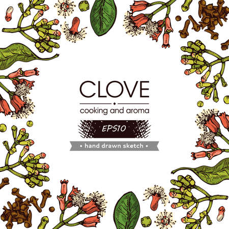 Frame with branches of a carnation tree with leaves, buds and flowers. Detailed hand-drawn sketches, vector botanical illustration. For menu, label, packaging design.のイラスト素材