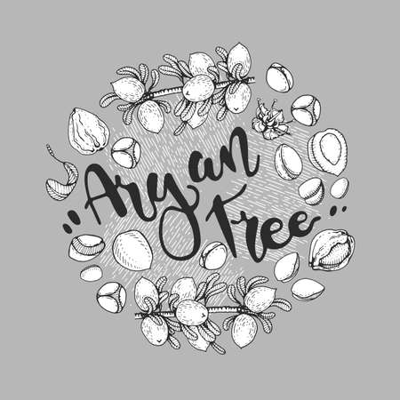 Background with branch argan tree with fruits, nuts argans, leaves, flower argans and glass bottle with oil and accessories Detailed hand-drawn sketches and lettering, vector botanical illustration. For menu, label, packaging design.のイラスト素材