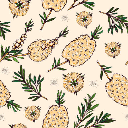 Seamless Pattern with branches with leaves and flowers of tea tree. Detailed hand-drawn sketches, vector botanical illustration. For textile, background, packaging design.のイラスト素材
