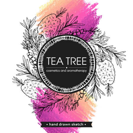Frame with branches with leaves and flowers of tea tree. Detailed hand-drawn sketches, vector botanical illustration. For menu, label, packaging design.のイラスト素材
