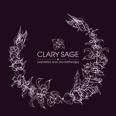 Frame with Clary sage twigs with leaves and flowers . Detailed hand-drawn sketches, vector botanical illustration.のイラスト素材