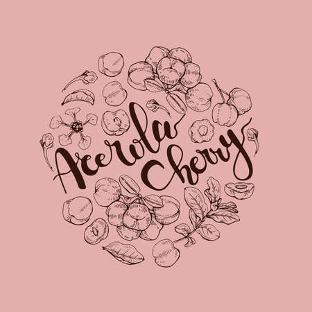 Circle with branch acerola cherry, fruit, flower and lettering. Detailed hand-drawn sketches, vector botanical illustration. For menu, label, packaging design.のイラスト素材