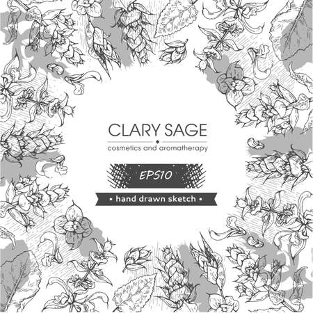 Background filled with Clary sage twigs with leaves and flowers and with empty circle inside. Detailed hand-drawn sketches, vector botanical illustration.のイラスト素材