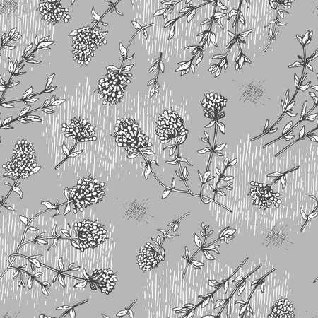 Seamless Pattern with twig of thyme with leaves and flowers. Detailed hand-drawn sketches, vector botanical illustration.のイラスト素材