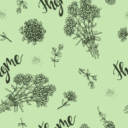 Seamless Pattern with twig of thyme with leaves and flowers. Detailed hand-drawn sketches, vector botanical illustration.のイラスト素材