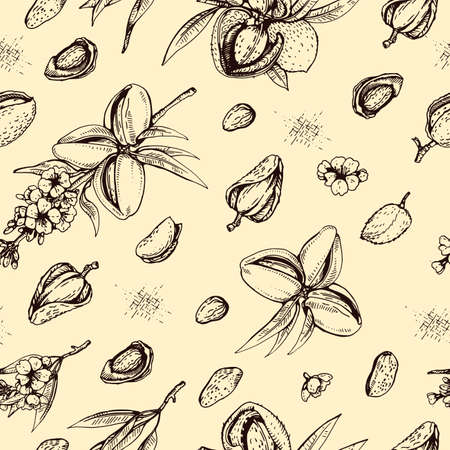 Seamless Pattern with Almond kernels of nuts and a branch of almonds with nuts, fruits, flowers. Detailed hand-drawn sketches, vector botanical illustration.のイラスト素材