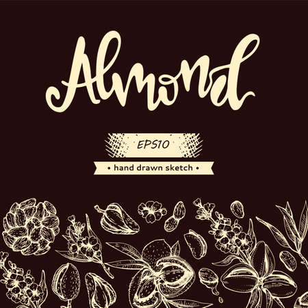 Background with Almond kernels of nuts and a branch of almonds with nuts, fruits, flowersand lettering Almond. Detailed hand-drawn sketches, vector botanical illustration.のイラスト素材