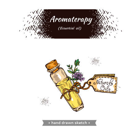 Aromatherapy accessory. Detailed hand-drawn sketches, vector botanical illustrationのイラスト素材