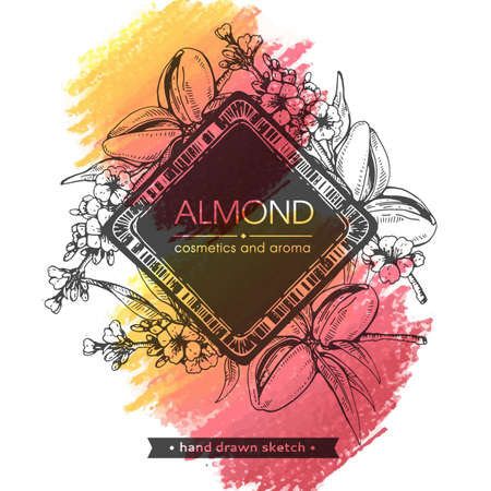 Frame with branch of almonds with nuts, fruits, flowers. Detailed hand-drawn sketches, vector botanical illustration.のイラスト素材