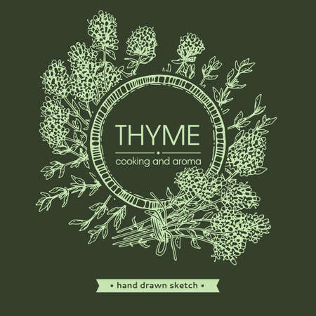 Frame with twig of thyme with leaves and flowers. Detailed hand-drawn sketches, vector botanical illustrationのイラスト素材