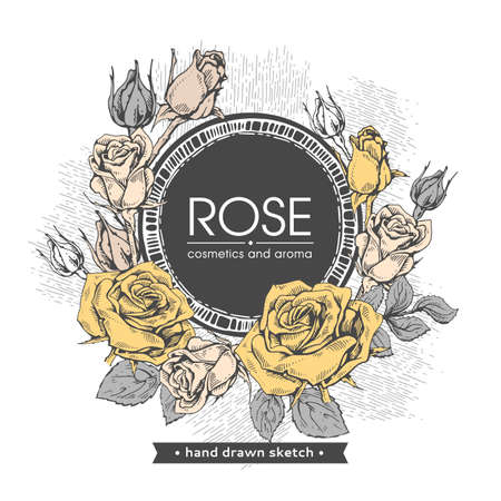 Frame with Roses. Detailed hand-drawn sketches, vector botanical illustrationのイラスト素材