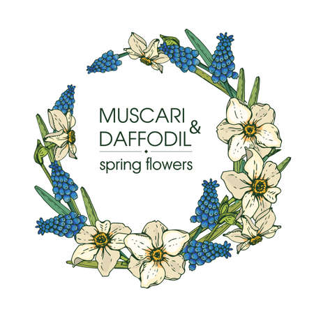 Frame with Spring flawers, daffodils and muscaries. Detailed hand-drawn sketches, vector botanical illustration.のイラスト素材
