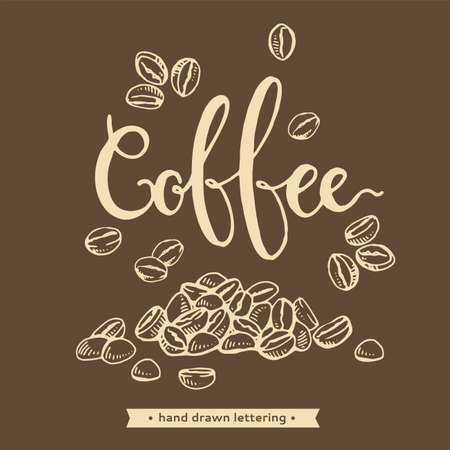 Detailed hand-drawn sketch of coffee beans and lettering. Linear hand-drawn sketch, monochrome vector botanical illustration.のイラスト素材