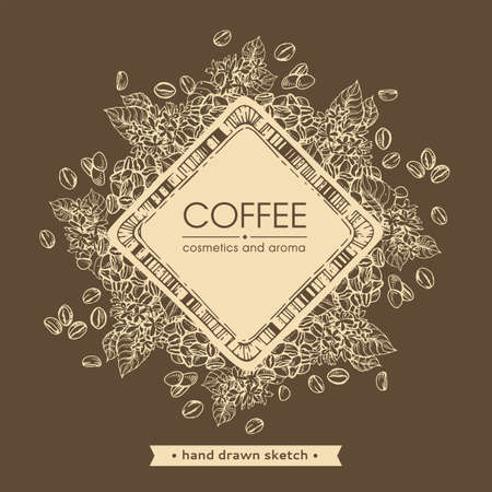 Square with coffee lettering with some coffee branches and beans around. Linear hand-drawn sketch, monochrome vector botanical illustration.のイラスト素材