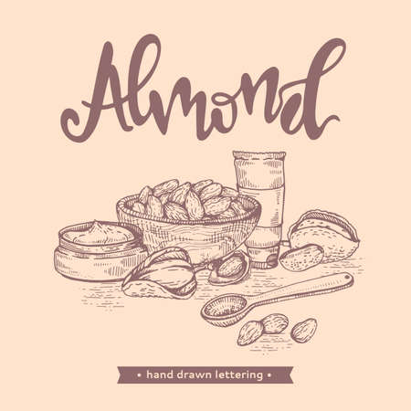 Almond in a bowl with some creams and wooden spoon. Detailed hand-drawn linear sketch, monochrome vector botanical illustration.のイラスト素材