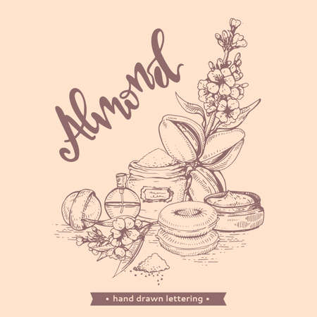 Branch of almond with some flowers, powders and perfumes around. Detailed hand-drawn linear sketch, monochrome vector botanical illustration.のイラスト素材