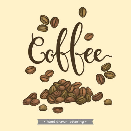 Detailed hand-drawn sketch of coffee beans and lettering. Detailed hand-drawn sketch, vector botanical illustration.のイラスト素材