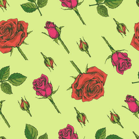 Seamless Pattern with Roses. Detailed hand-drawn sketches, vector botanical illustration.のイラスト素材