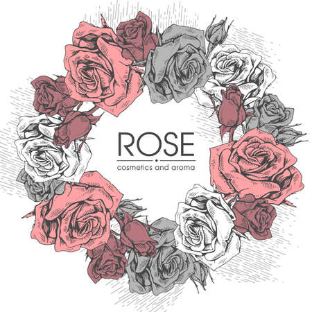 Frame with Roses. Detailed hand-drawn sketches, vector botanical illustrationのイラスト素材