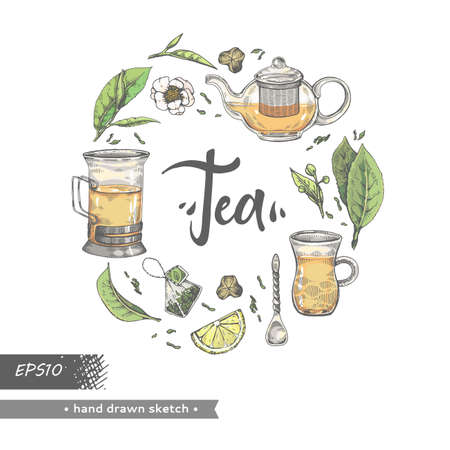 Hand-drawn sketch tea leaves and different tools, vector illustration.のイラスト素材